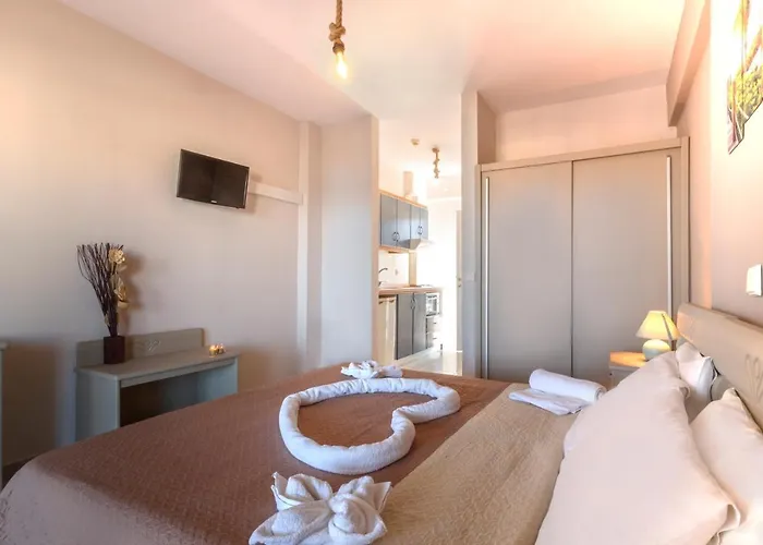 Sueno 2* 波利克罗诺